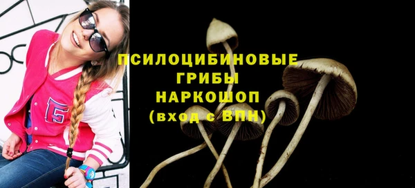 дмт Алексеевка