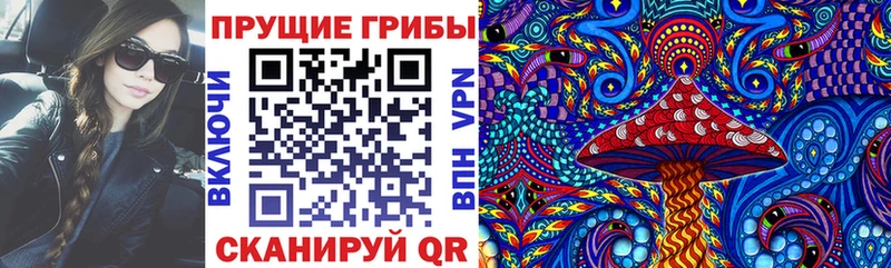 где продают   Липки  MEGA онион  Галлюциногенные грибы Psilocybine cubensis 